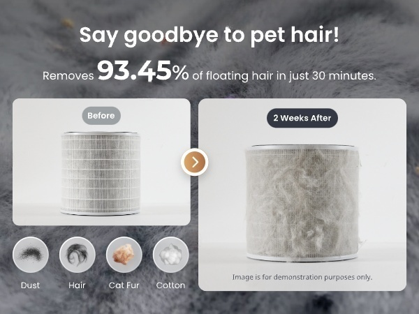 air purifier