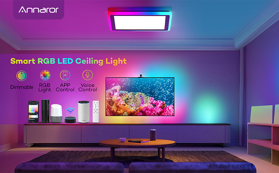 smart ceiling light