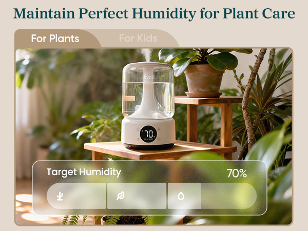 Provide plants with more suitable humidity