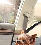 dog car seats for small dogs
