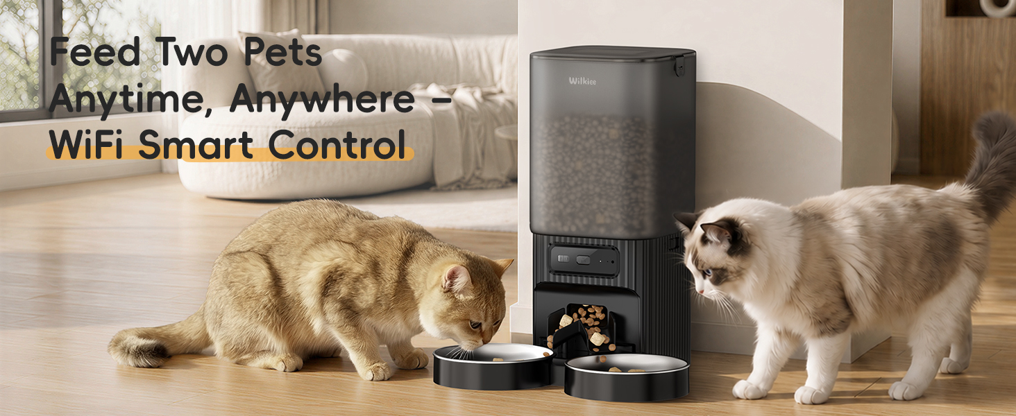 automatic cat feeder