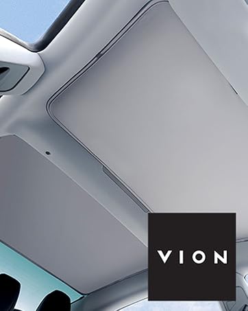 VION