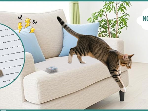 pet shock mat