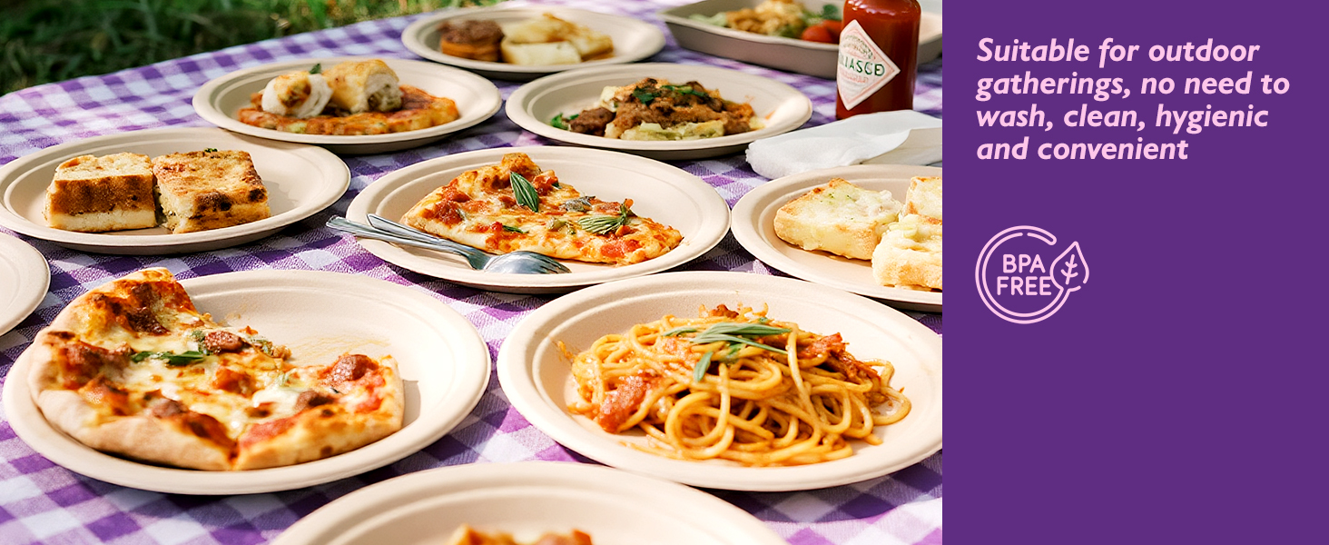Compostable Paper Plates