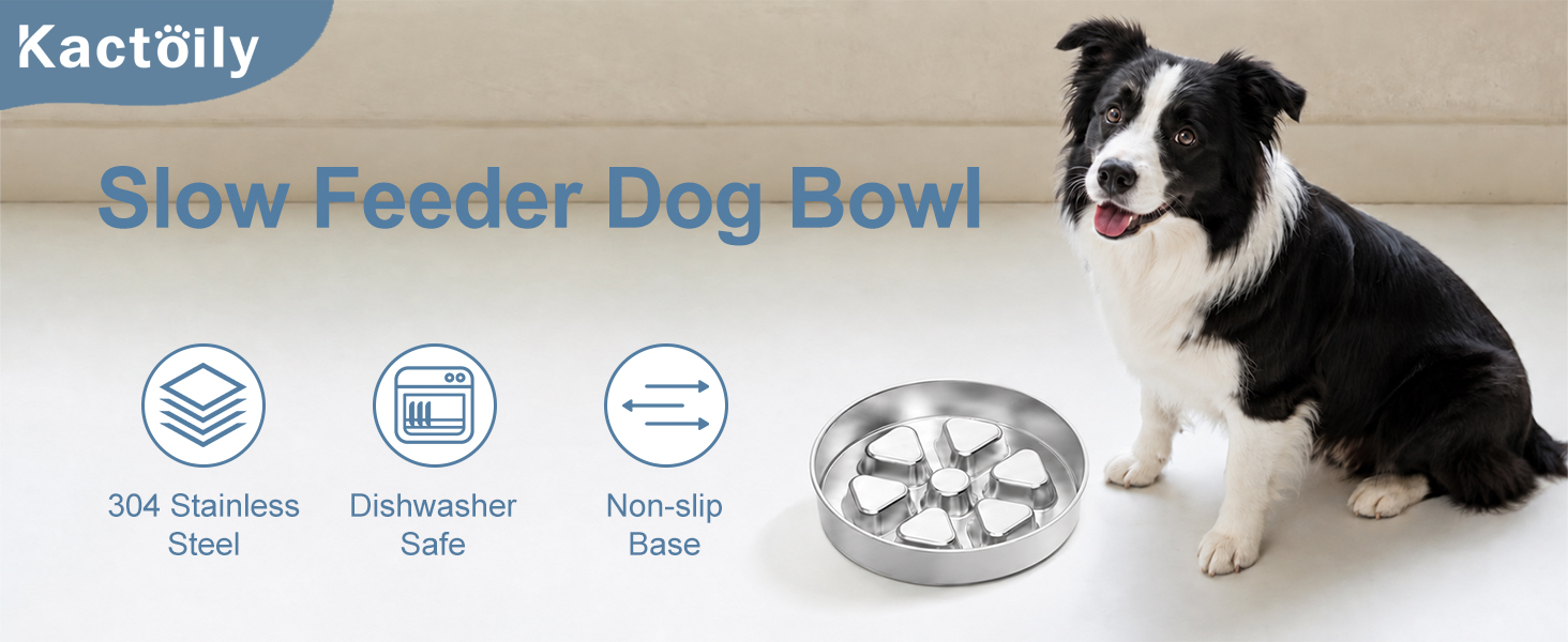 metal slow feeder dog bowl