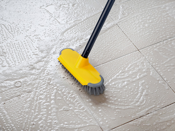long handle scrub brush