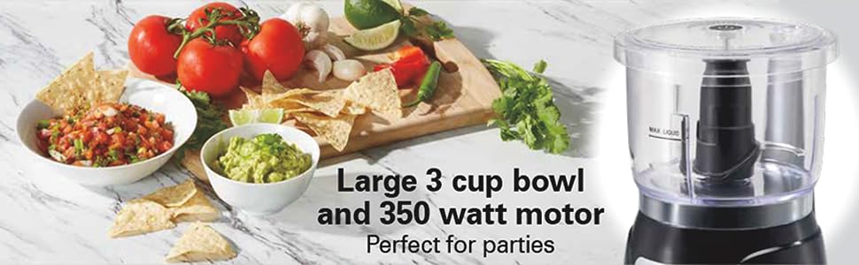 mini food processor