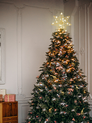 Christmas tree topper star