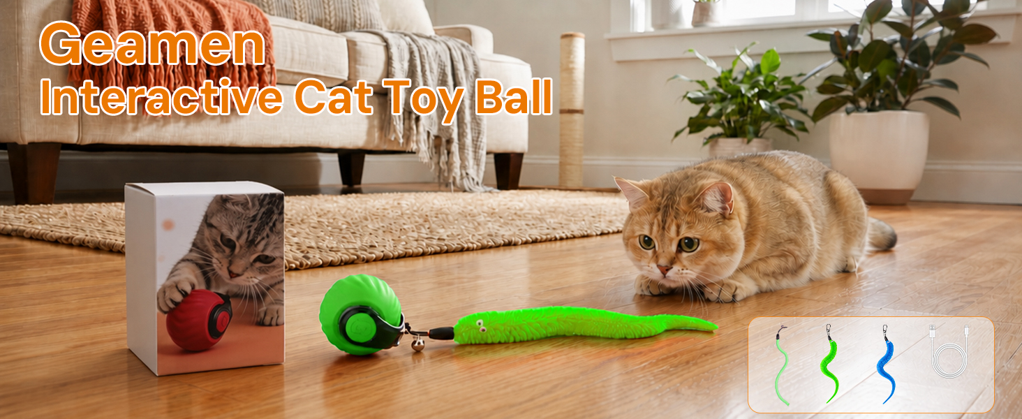 interactive cat toys