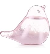 Weather Glass, Storm Glass Weather Forecaster, Bird Shape Bottle Liquid Barometer Weather Forecas...