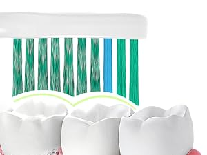 Spiral Brush Filament