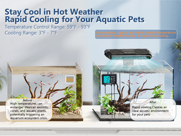 Rapid Cooling for Your Aquatic Pets