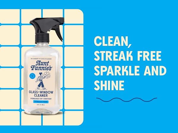 stainless steel cleaner glasses shower window car cleaning supplies windshield all purpose