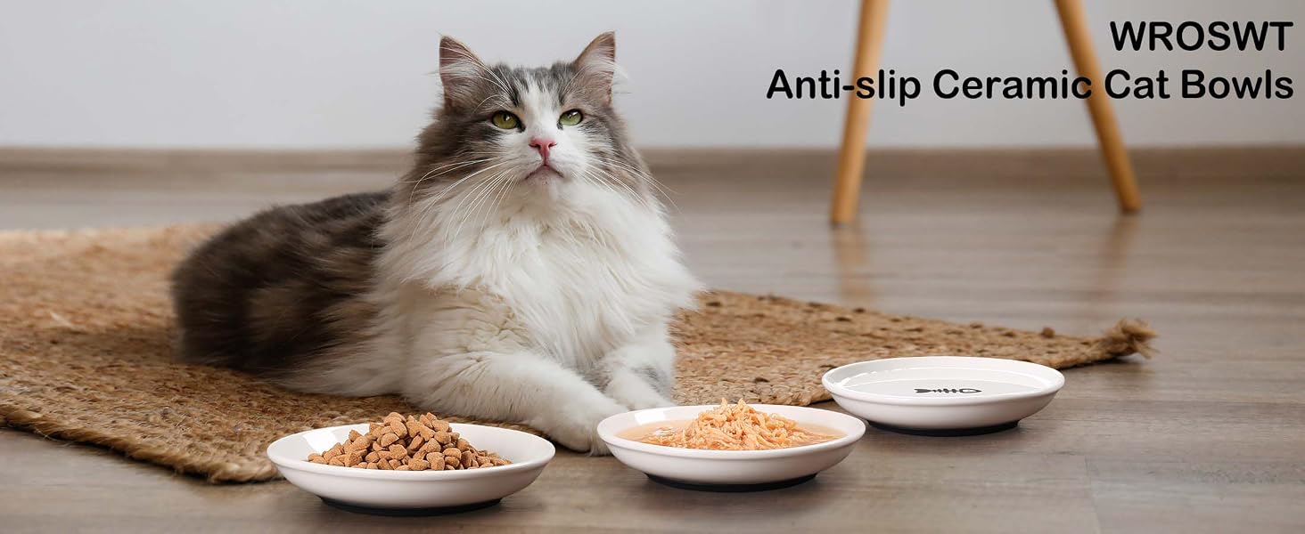 cat bowls