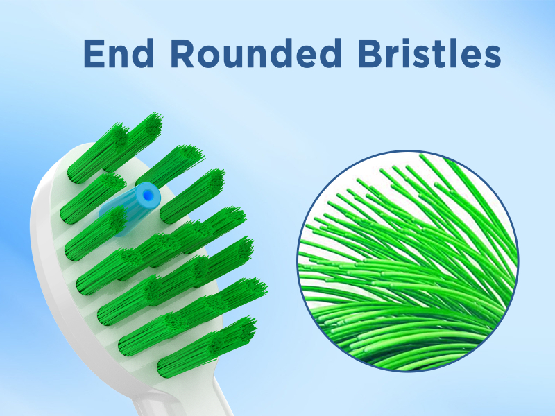 waterpik toothbrush replacement heads