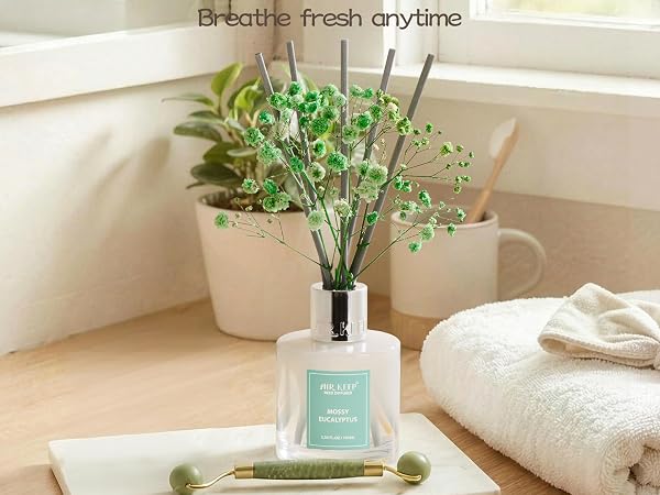 reed diffuser set