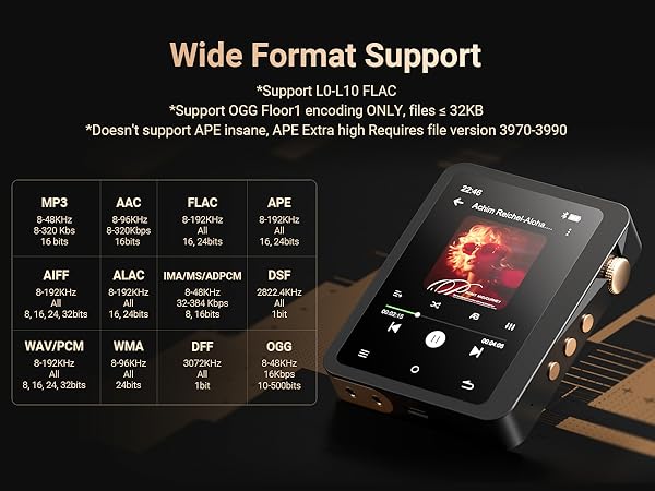 Text reads 'Wide Format Support'. Series of interface screens showing media player controls and format compatibility indicators for different file types and codecs.