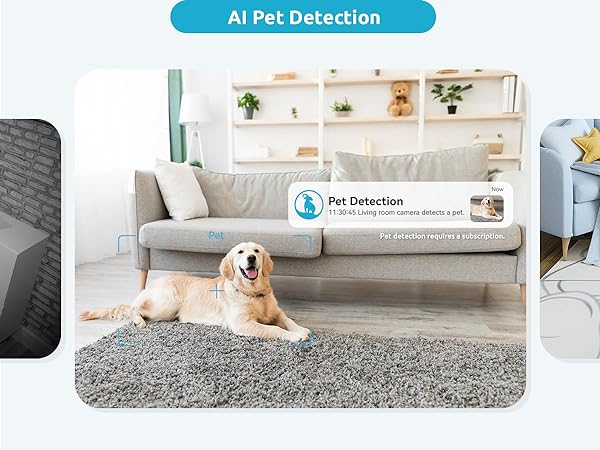 pet detection