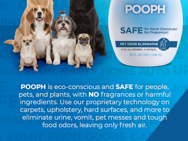 Eco Conscious and safe