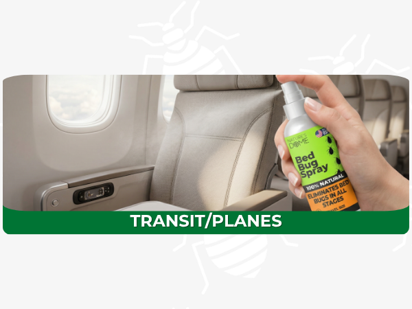 Bed bug spray for airplane seats and rental cars