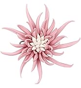 LIUCOGXI 5.1inch Ceramic Flower Wall Art Decor Pink 3D Handmade Artificial Flower Wall Art Hangin...
