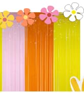 Groovy Foil Fringe Curtains Backdrop Birthday Party Decorations