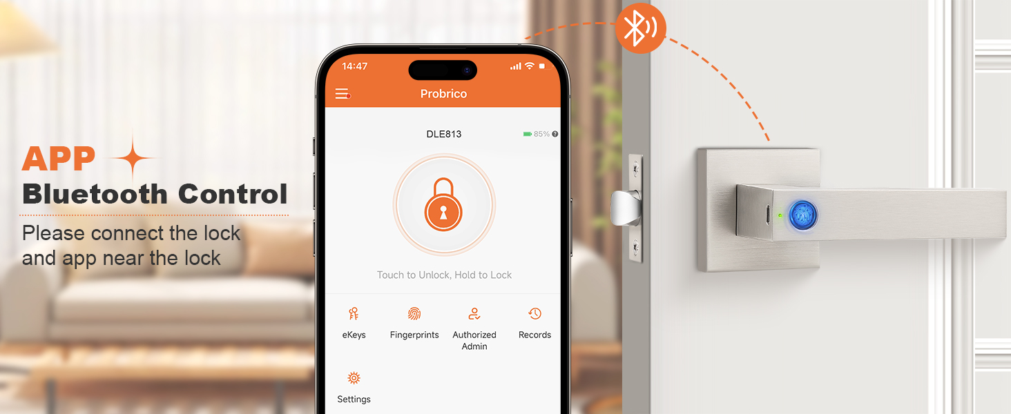 smart nickel door handle