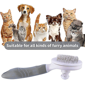 cat brush