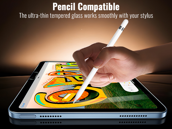 iPad Air 11 Privacy Screen Protector