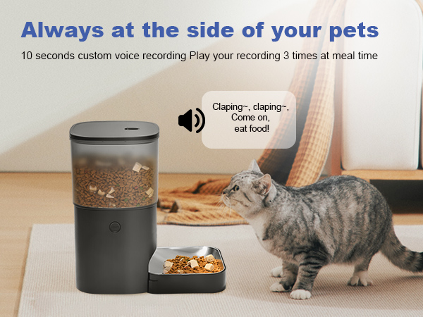 automatic cat feeder with voice call