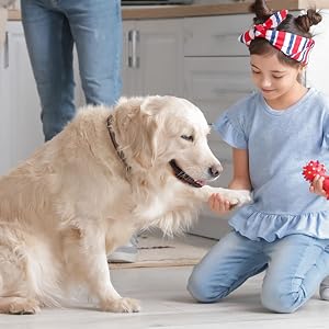 Young girl on her knees holding the paw of a large dog on the kitchen floor