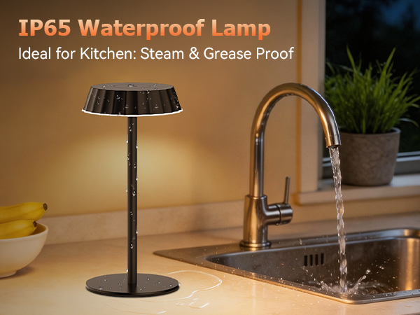 IP65 Waterproof Lamp