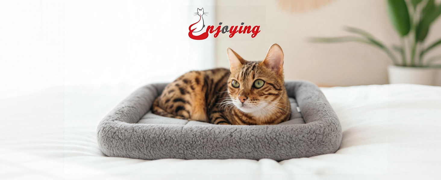 pet mat