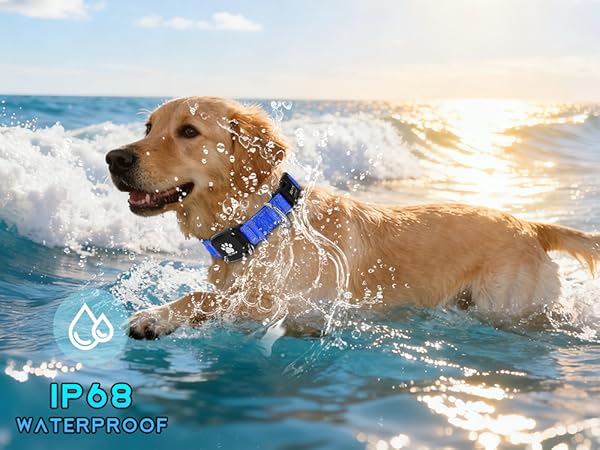 MYIWB IP68 Waterproof Dog Tracking Collar, Swim-Safe, Real-Time GPS