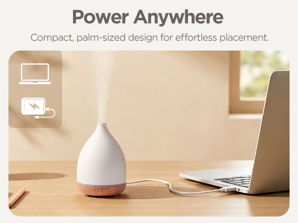 oil diffuser