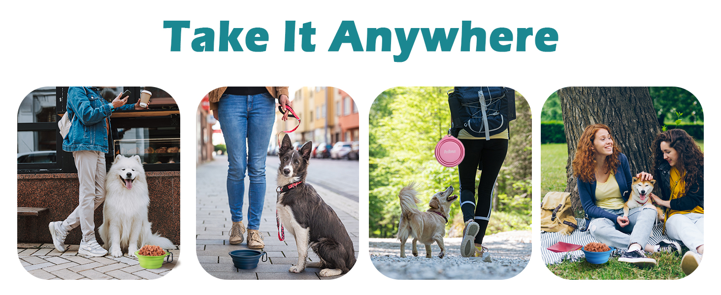 collapsible dog bowls