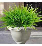 Uieke 12 Bundles Artificial Outdoor Plants UV Resistant Fake Grass Plants Faux Plastic Plants Gre...