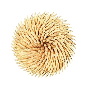 Toothpicks
