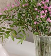 BN-LINK indoor extenison cord