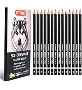 GETHPEN Professional Drawing Sketching Pencil Set - 14 Pieces Graphite Pencils(14B - 4H), Ideal f...