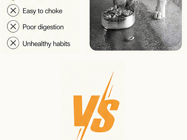 Stainless Steel Slow Feeder Dog Bowls