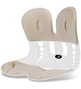 Ergonomic Back Support for Office Chair Cushion with Lumbar Pillow, Posture Corrector for Desk Ch...