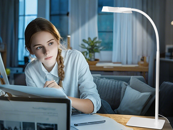 LED Desk Lamp for Home Office white