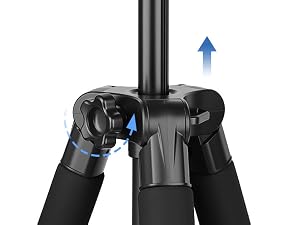tripod stand