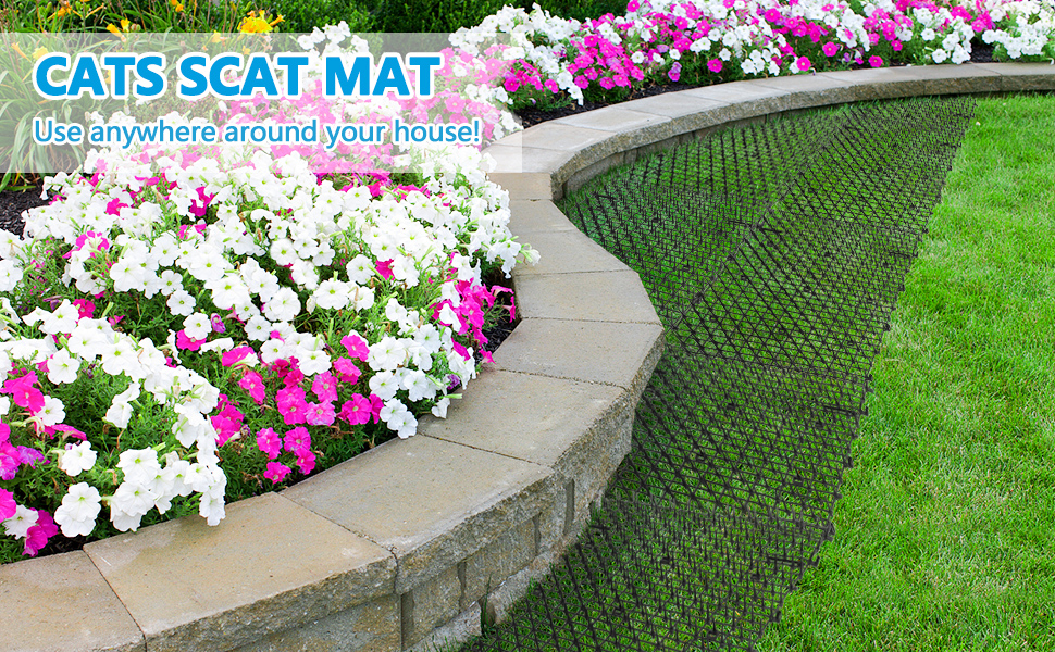 cat scat mat