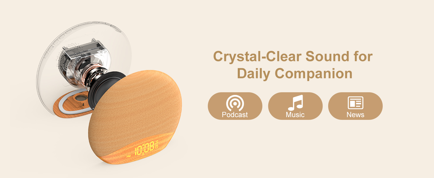 FM radio sound for daily companion