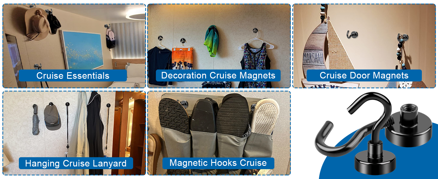 cruise magnets