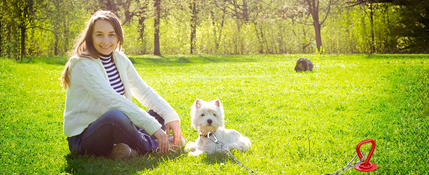 dog leads for yard heavy duty