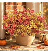 Artificial Faux Mums Flowers Plants for Outdoors Fall Decoration,12 Bundles Fake Mums Silk Daisy ...