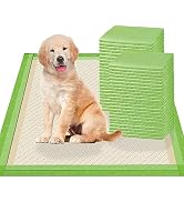 Gardner Pet Pee Pads for Dogs Rugular 22